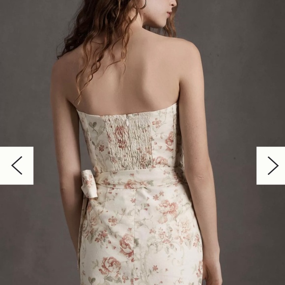 V. Chapman Nasturtium Mini - Picture 2 of 3